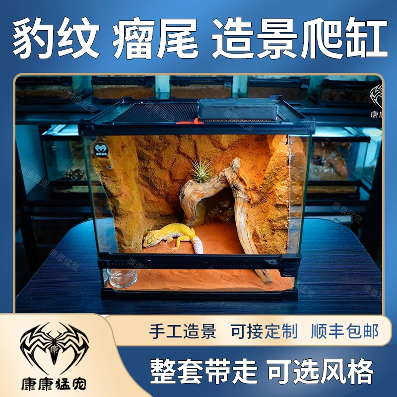 豹纹瘤尾守宫生态造景爬缸 豹纹瘤尾守宫玻璃饲养箱造景
