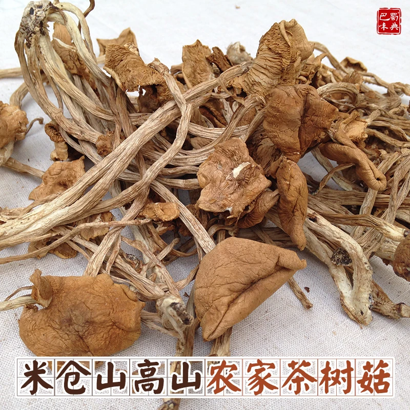 茶树菇干货100g农家精选新货茶薪菇干茶树菇散装杨树菇嫩香菇无硫