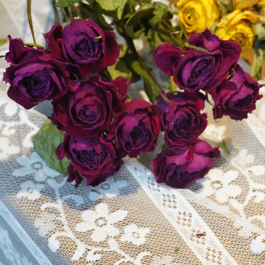 【富贵的花甸】弗洛伊德干花单头玫瑰（10枝送2枝损耗）