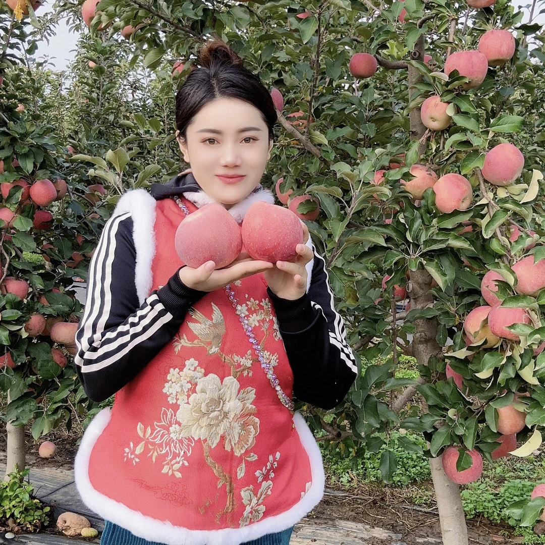 陕西高山红富士苹果脆甜多汁霜降后采摘产地直发新鲜