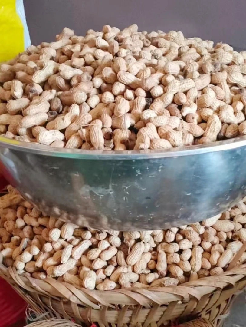 铁矿镇农村自家本地带壳干花生