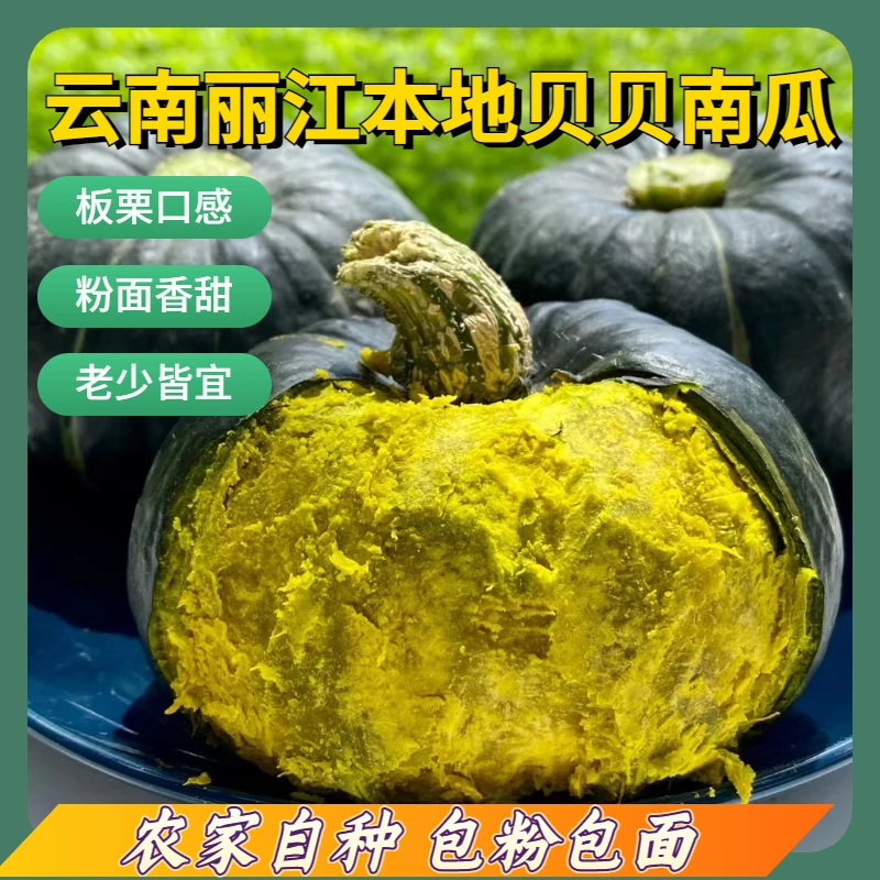 【贝贝南瓜】新鲜云南丽江贝贝南瓜正宗板栗味软糯香甜小南瓜5/9斤