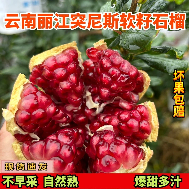 突尼斯软籽石榴新鲜当季水果云南丽江高山软籽石榴现货整箱包邮