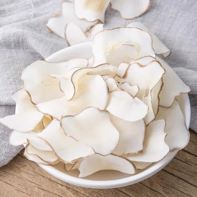 【云姐滋补】精选海底椰干货高品质无硫无添加可煲汤煮水可搭配枸杞