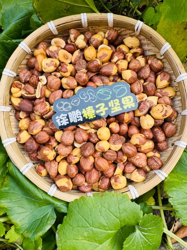 东北铁锅笨炒大果榛子仁,果仁