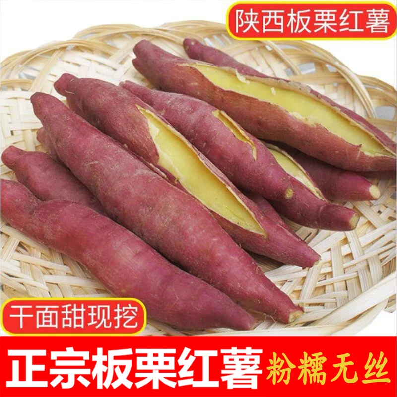 陕西板栗红薯新鲜现挖5/9斤包邮沙地黄心小番薯粉面地瓜农家自种