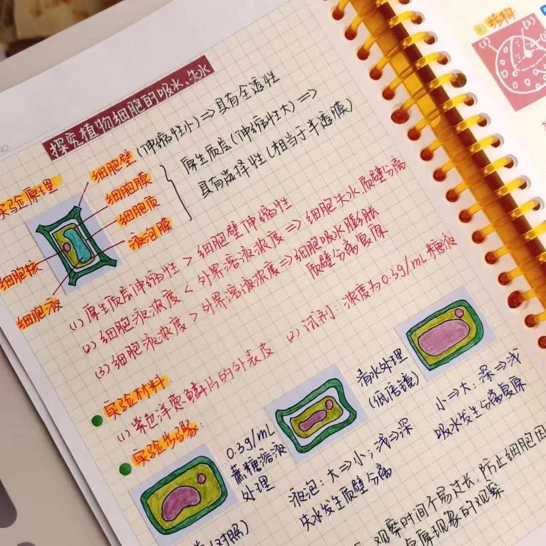 【玛丽推荐】长江防近视活页纸替芯纸/B5/A4/A5活页本替芯