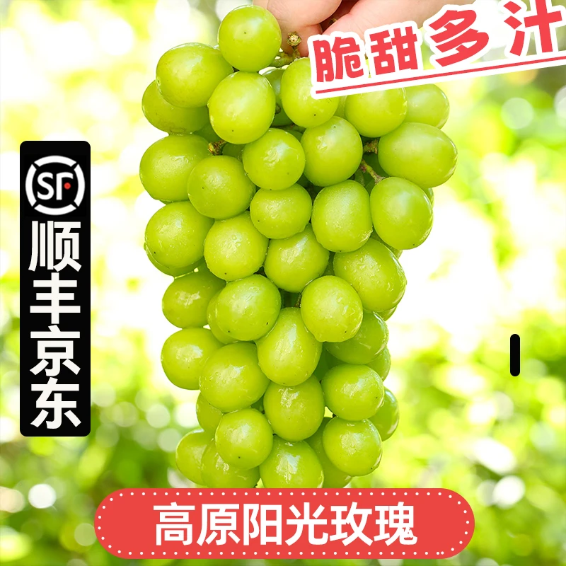 顺丰京东【中餐厅专属】森小鲜云南阳光玫瑰葡萄爆汁新鲜水果整箱