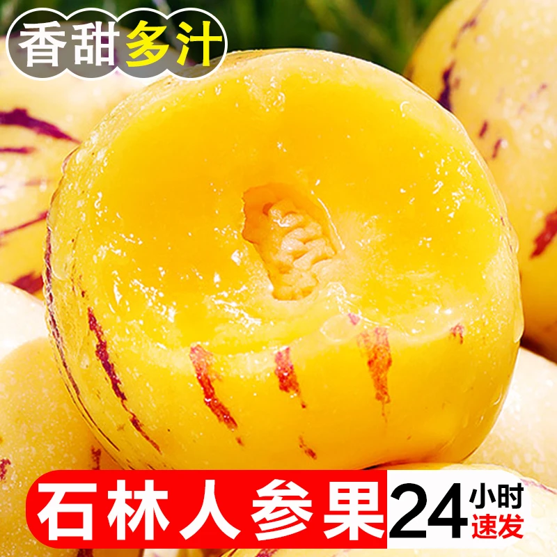 云南石林树上熟黄肉人参果水果圆果新鲜当季现摘3/5/9斤整箱包邮