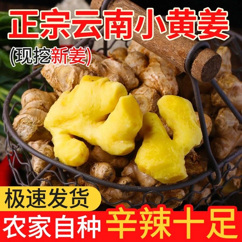 小黄姜云南农家自种现挖现发生姜土姜产地直发水果3斤包邮