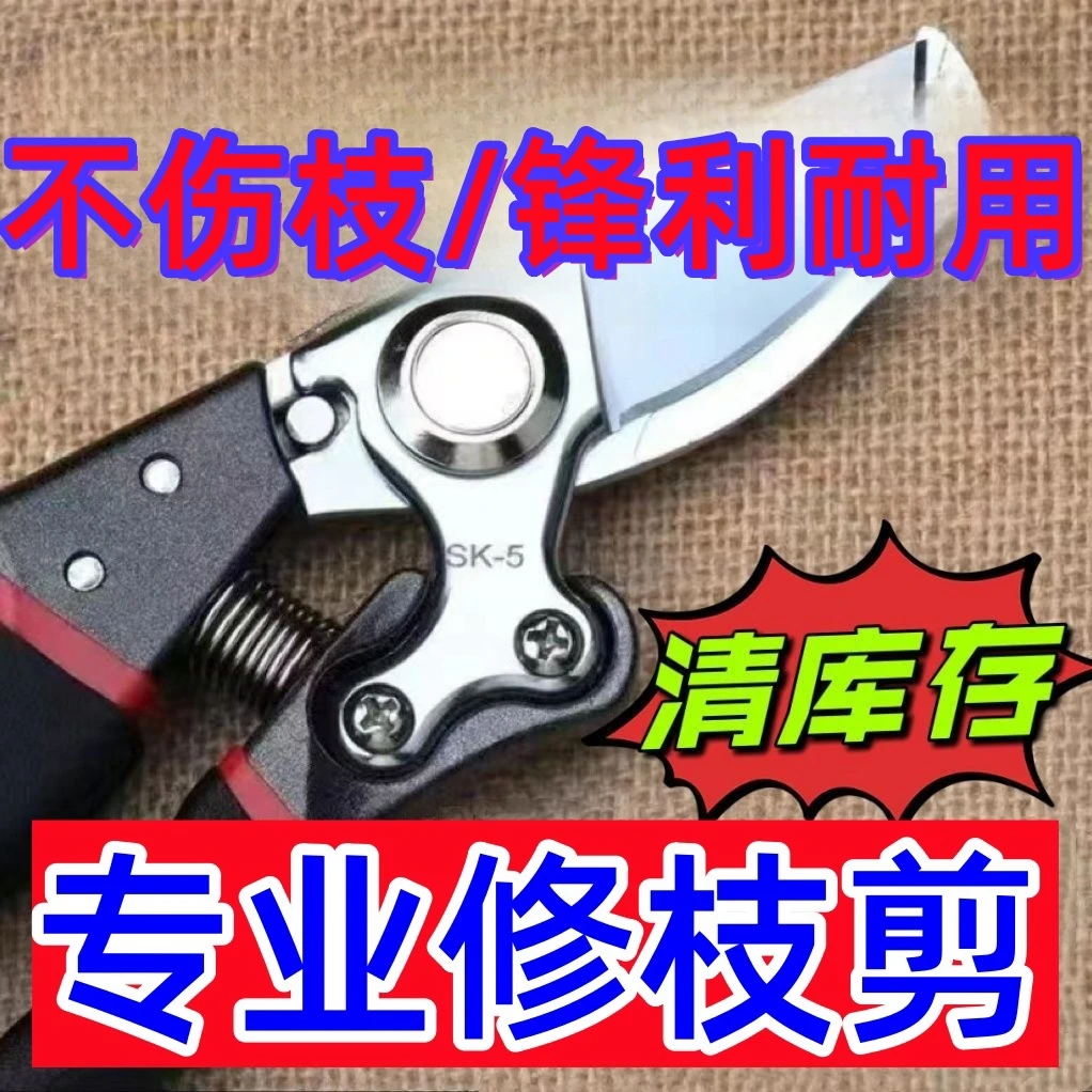 原装进口SK5强力园艺修枝剪新款园林家用省力款花艺剪枝剪子工具