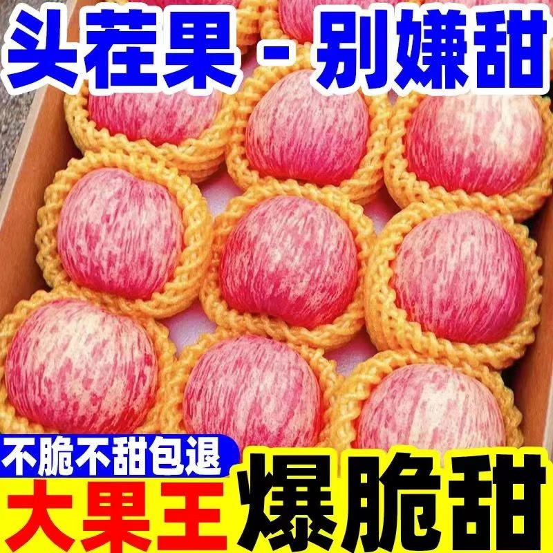 【新店福利】新鲜正宗红富士苹果1/9斤头茬脆甜冰糖心当季烟台平替