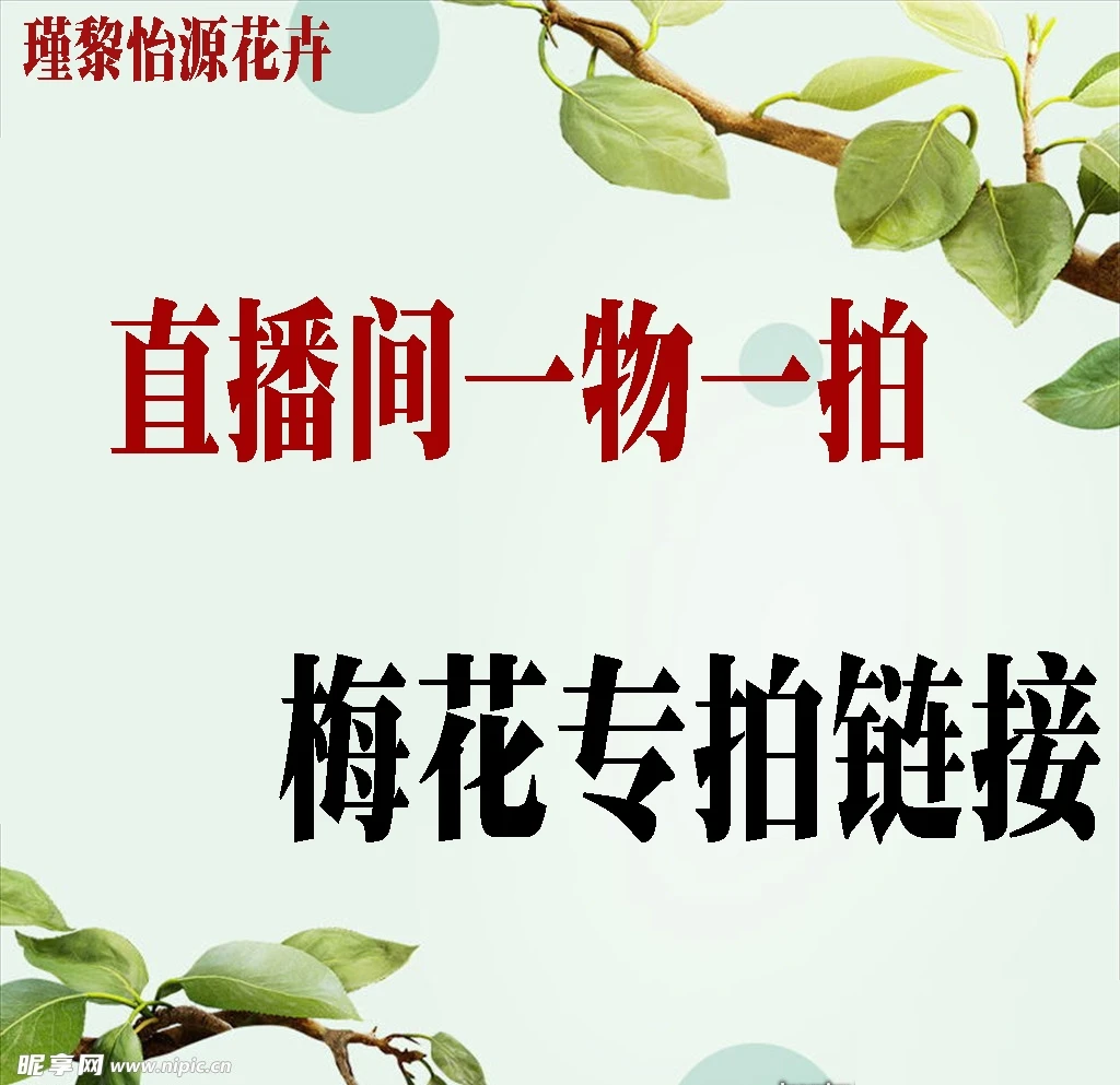 红梅绿梅红须朱砂红千鸟龙游耐寒耐热盆景花卉