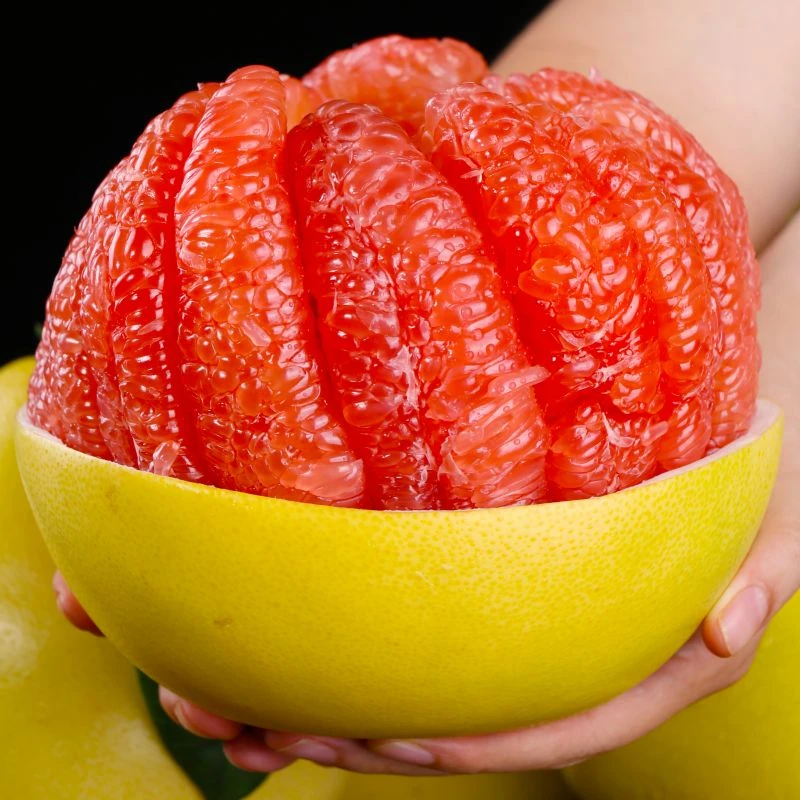 宜柚-福建蜜柚-红心蜜柚红心柚子三红柚酸甜红柚当季现摘新鲜水果