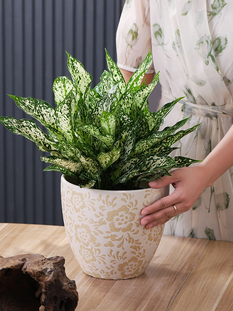陶瓷花盆创意落地客厅家用个性绿植盆景