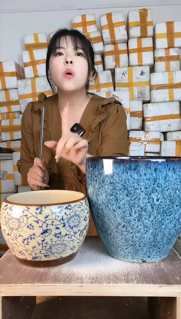 【闪购商品】陶瓷鹅蛋形孔雀蓝中+02黄底青花小