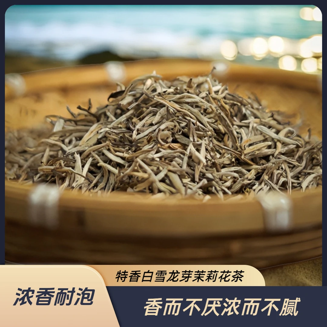 浓香白雪龙芽茉莉花茶9窨2025新茶耐泡回甘生津广西横县花香浓郁