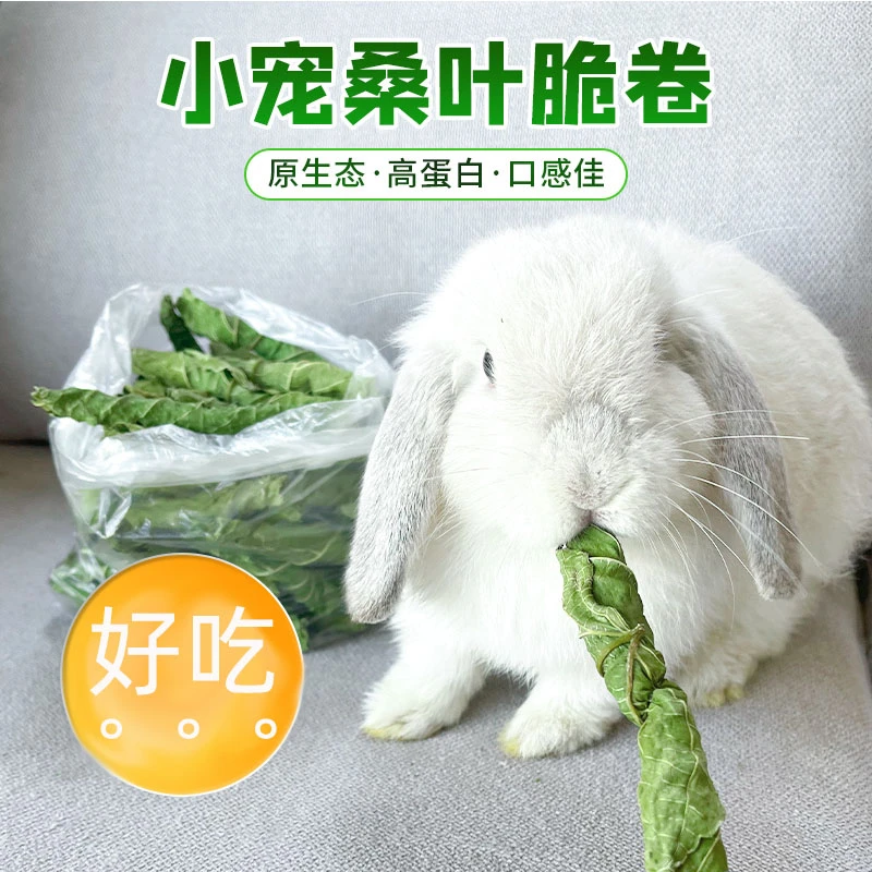 兔子烘干手摘桑叶卷龙猫荷兰猪磨牙零食含蛋白质氨基豚鼠补充营养