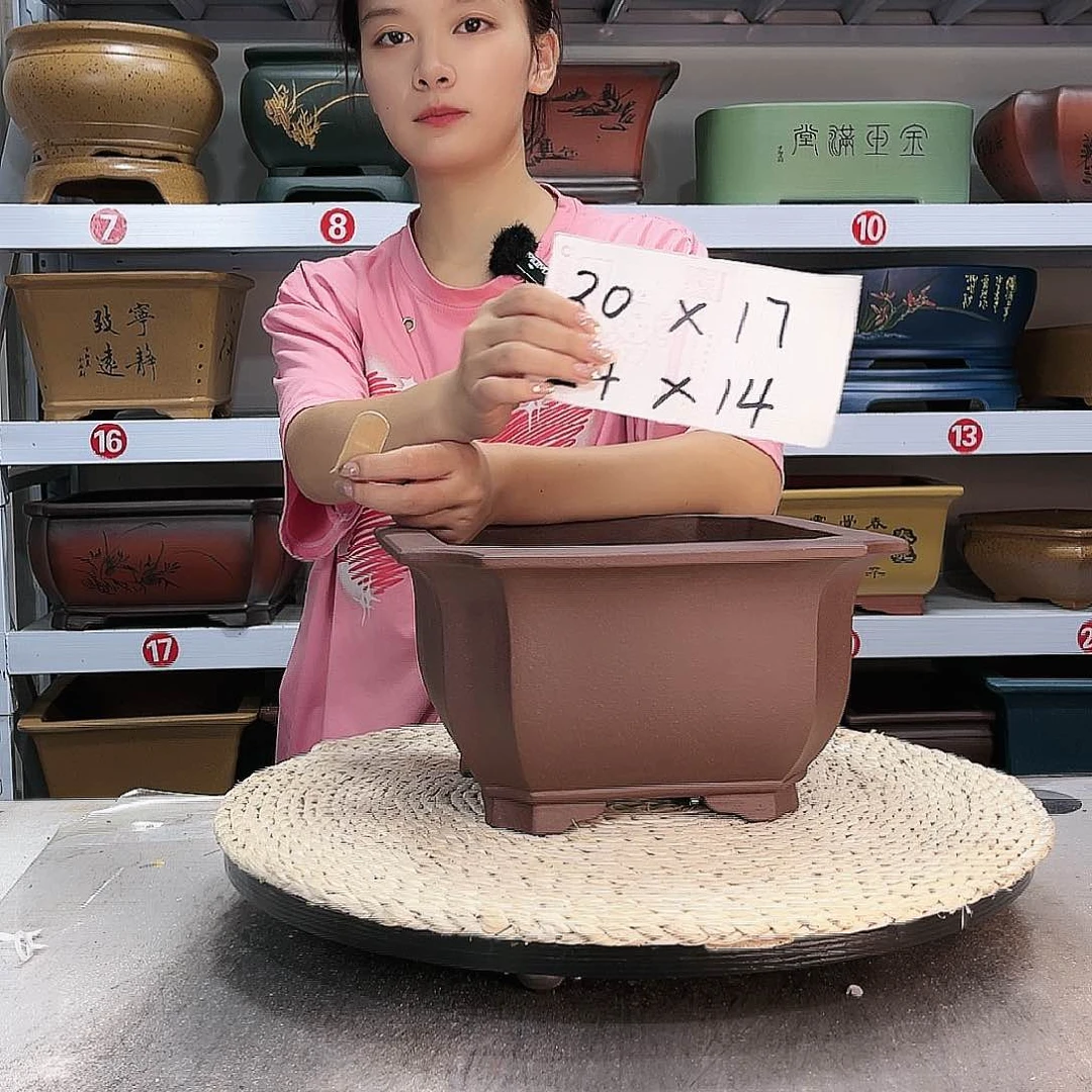 紫砂花盆紫砂花盆
