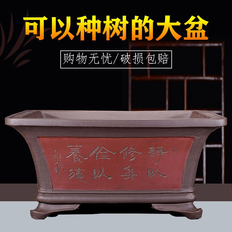 宜兴紫砂花盆精品种树特大长方形树桩榕树文竹松柏室内绿植盆景盆