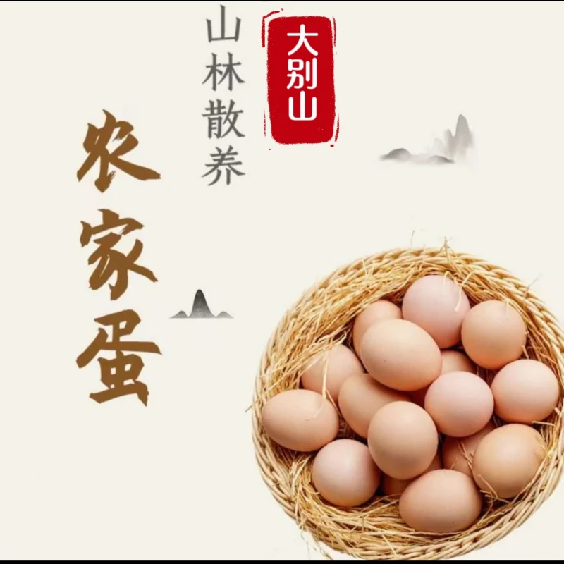 农家新鲜营养好吃安心土鸡蛋土鸡蛋高山散养土鸡蛋新鲜新鲜土鸡蛋