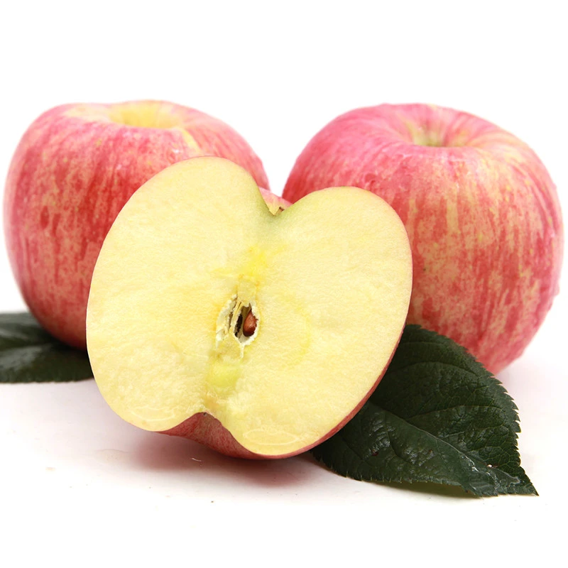 山东红富士苹果2只 约450g/份