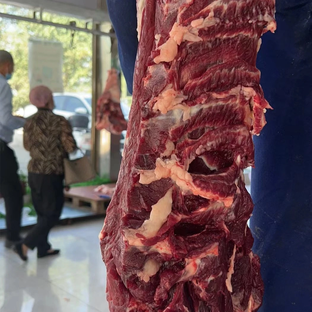 新疆本地褐牛马尾