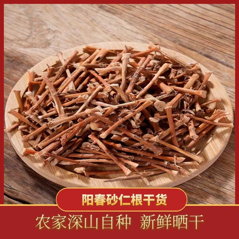 广东阳春春砂仁根农家自晒砂仁根煲汤煲老鸡干根100g-2斤