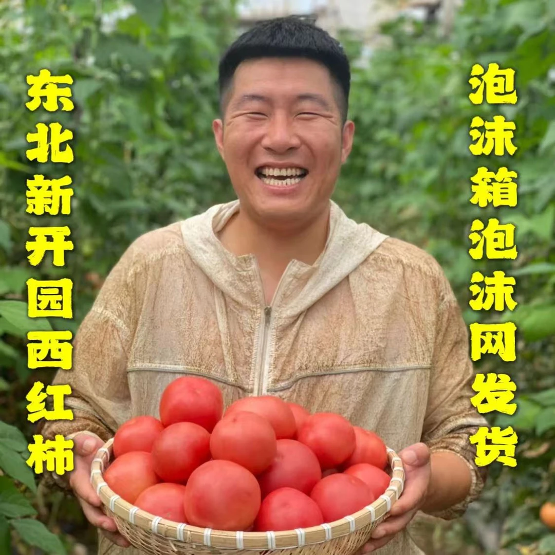 东北头茬西红柿番茄自然成熟水果柿子生吃沙瓤现摘现发坏果包赔
