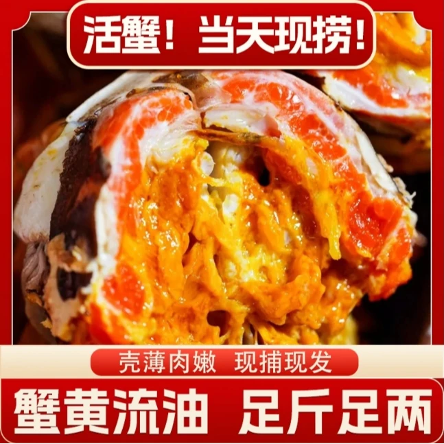 【江苏活蟹】鲜活河蟹 公3.3-3.0两  母蟹 2.5-2.2两 5对10只 礼盒A