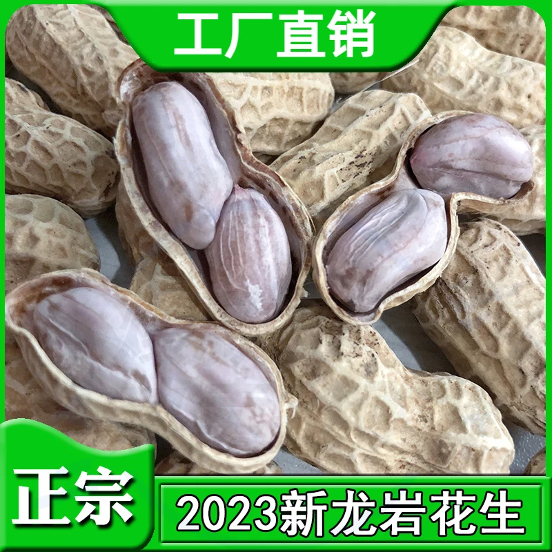 正宗新龙岩花生水煮白晒盐水咸干五香蒜香烤坚果花生小吃下酒菜