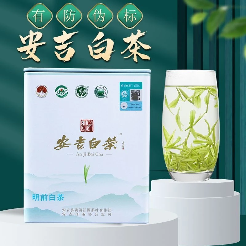 2024新茶上市绿茶安吉白茶