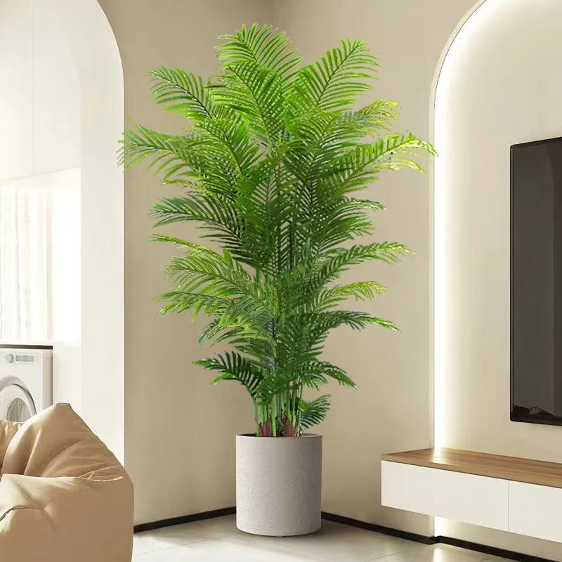 1.8-2米散尾竹绿植客厅摆放好养易活绿植大盆栽植物室内（往事