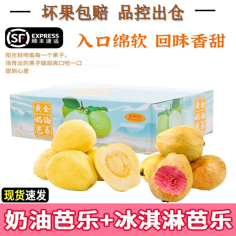 现货红番石榴红白双拼礼盒香甜新鲜红心芭乐新鲜水果4.5/5斤芭乐