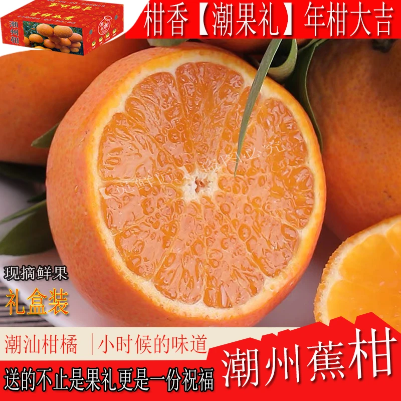 广东正宗潮州柑蕉柑潮汕焦柑拜神桔新鲜应季水果3斤5斤10斤礼盒