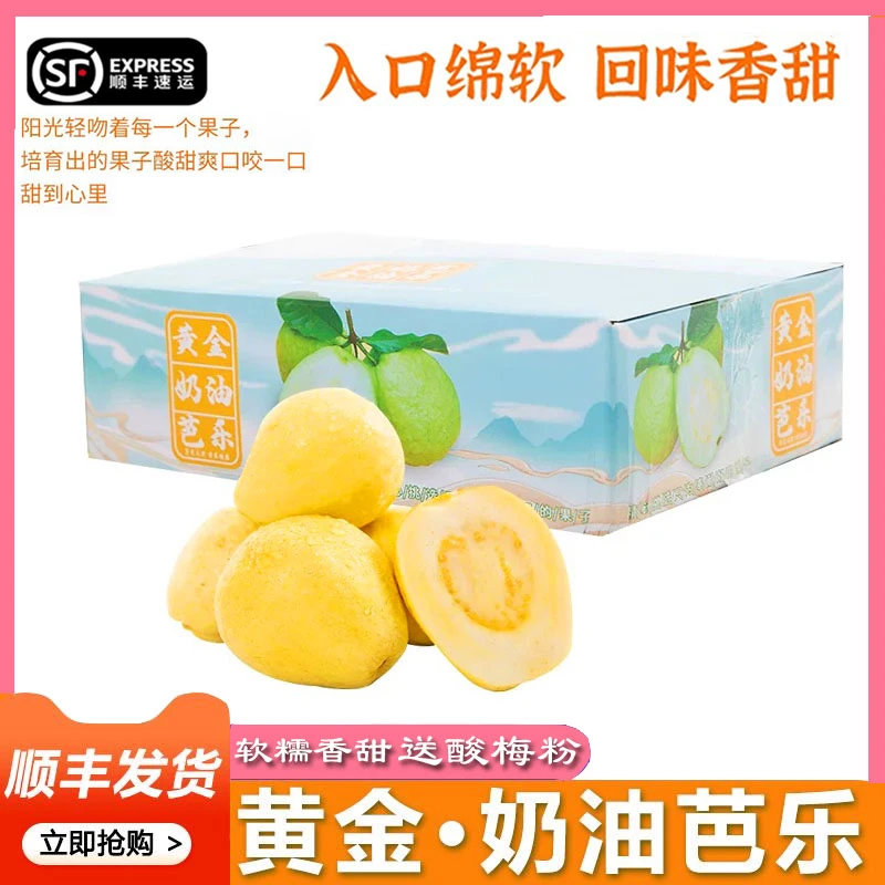 广东珍珠芭乐香甜奶油芭乐番石榴白心5斤新鲜水果软糯酸甜礼盒