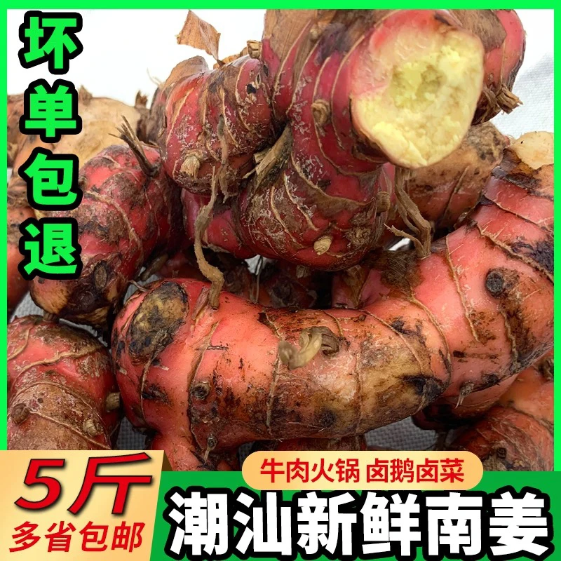 正宗潮汕姜南姜生姜新鲜南姜潮汕野山姜南姜3斤南姜5斤潮汕南姜
