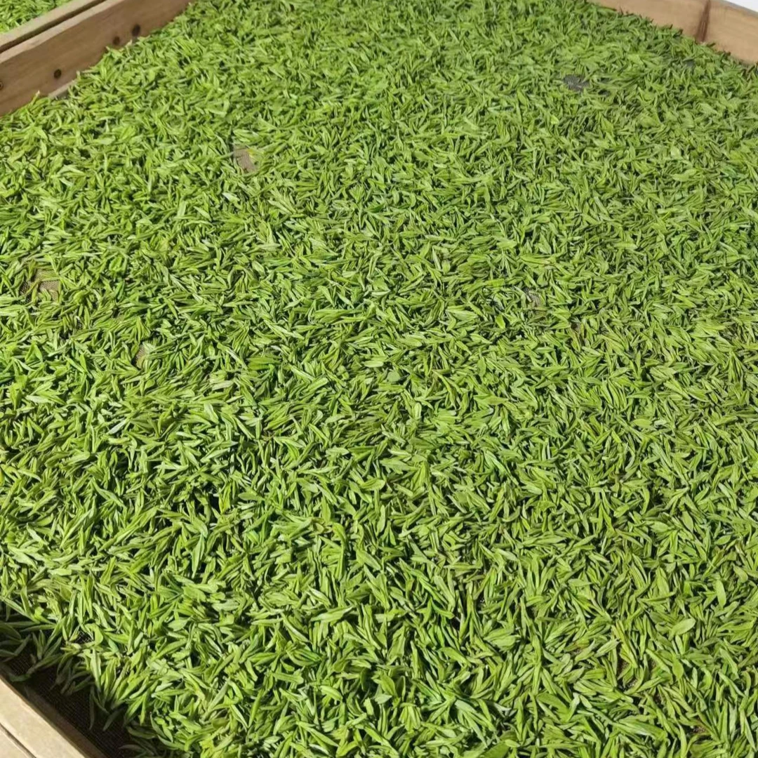 【临时链接口粮茶194】2024新茶枫璟白茶高山原产地安吉白茶