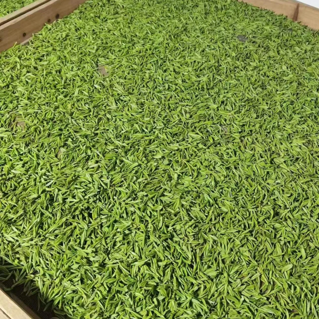 【临时链接208】2023新茶枫璟白茶高山原产地安吉白茶