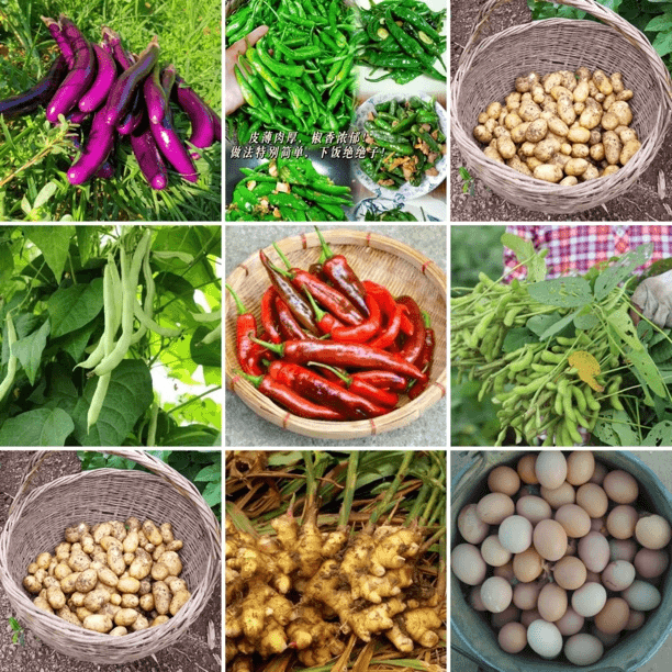 【阿诚赶集】湘西农村生态种植蔬菜山货土货