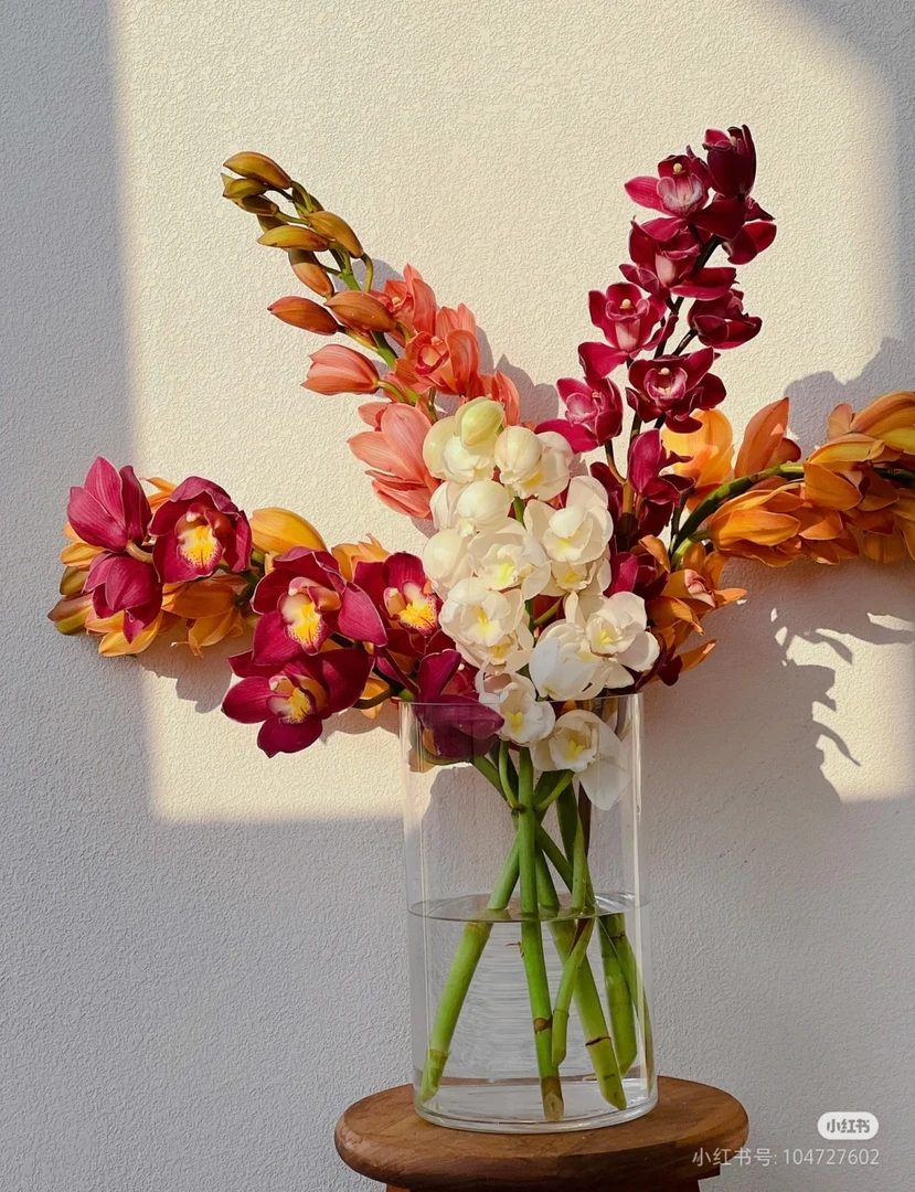 大花惠兰四单包邮零下不拍保温棉冻坏不售后