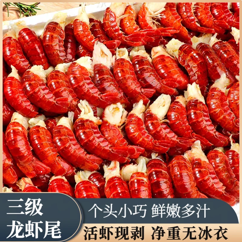 三级龙虾尾24年新货活虾现剥 一斤200-230粒净重3/6斤 冷链发货