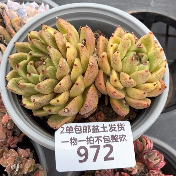972