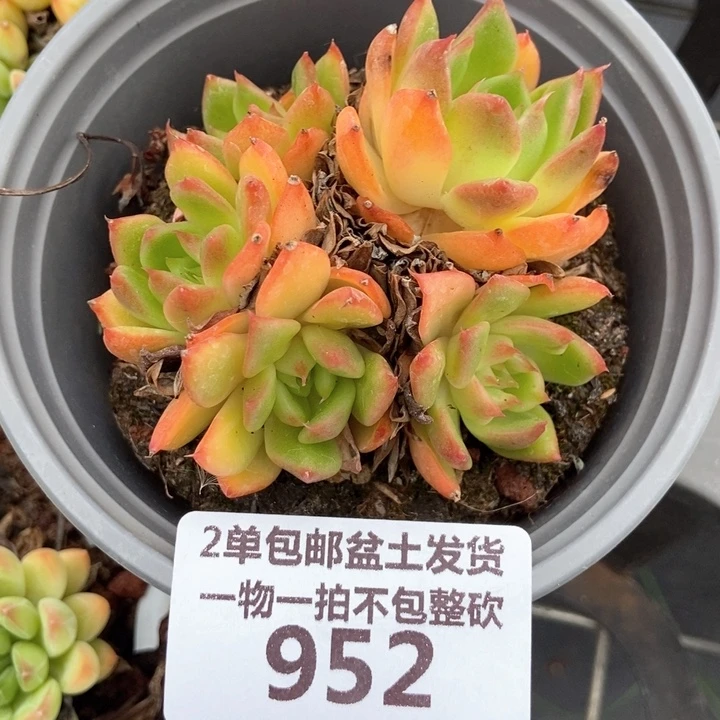 952