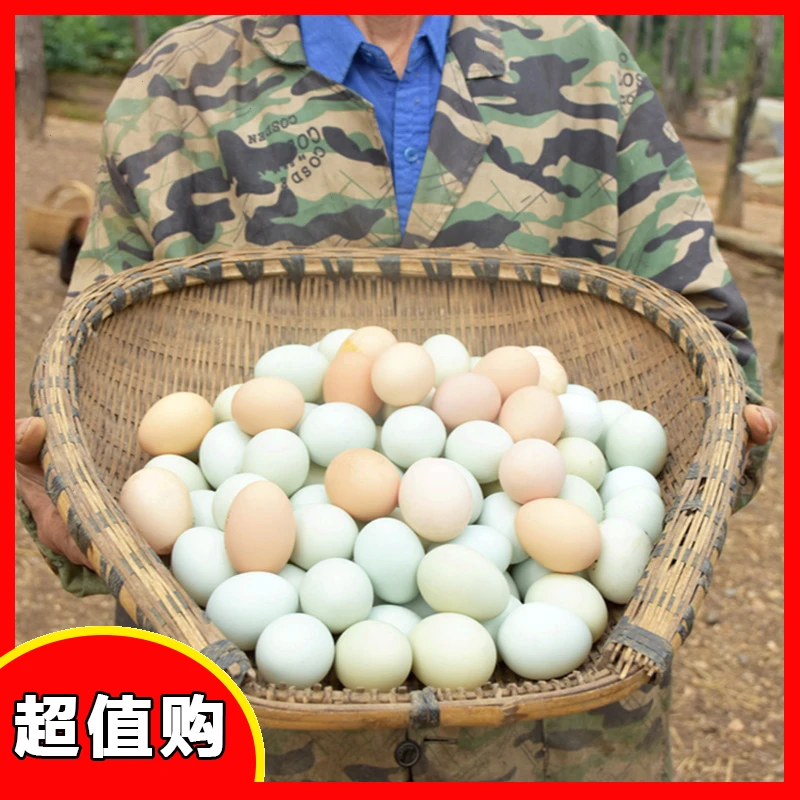 【搞笑一家人专属】农家生态新鲜土鸡蛋江汉土鸡蛋粉壳绿壳