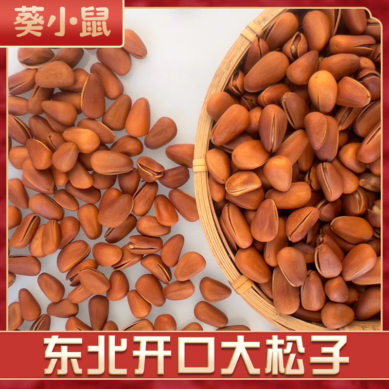 天山兔新货松子大颗粒东北开口松子饱满原味坚果松子营养即食