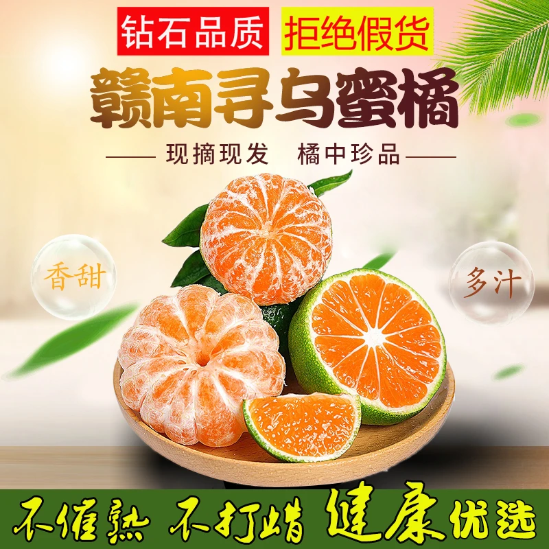 江西赣南寻乌蜜橘新鲜优质无籽青皮桔子现摘现发当季水果整箱包邮