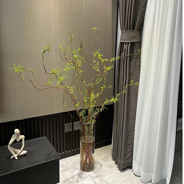 水培龙柳鲜枝鲜切花水养雪柳干枝马醉木长叶泡水长根植物树枝装饰