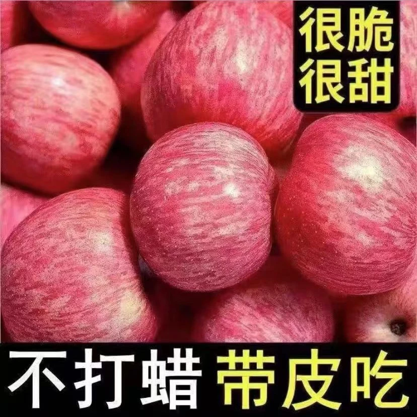 苹果苹果真好吃好吃
