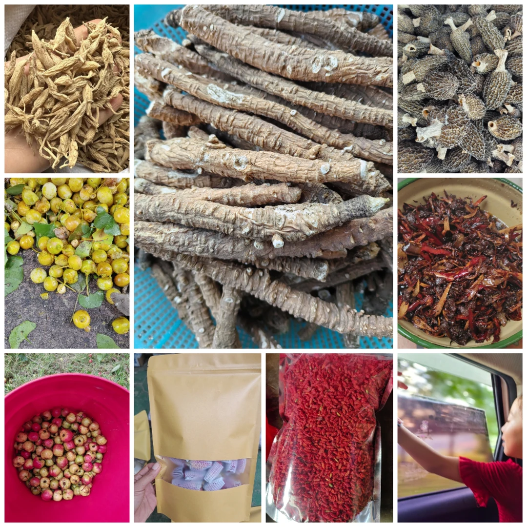 ｛小尹山货｝，一物一拍链接，菌菇